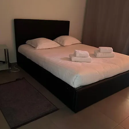 Spacious 7 Min From Train Station Apartment *